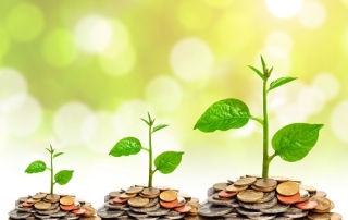 trees growing on coins
